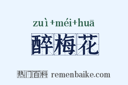 醉梅花是什么意思的图片